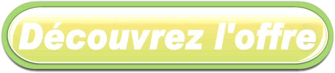 BOUTON LIVRAISON FLEURS A CHECY