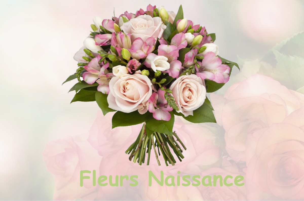 fleurs naissance CHECY